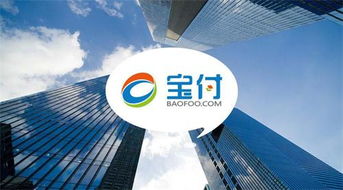 寶付支付 深耕通信電商領(lǐng)域，攜手行業(yè)巨頭共繪新藍(lán)圖